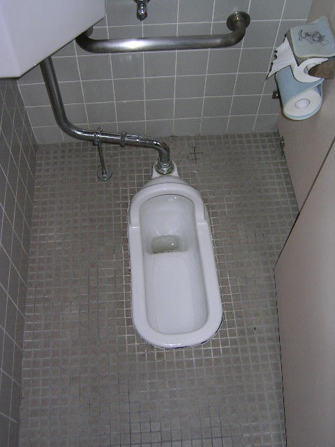 http://fc04.deviantart.com/fs4/i/2004/211/8/d/Japanese_Style_Toilet.jpg