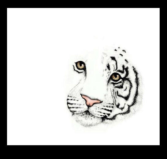 White Tiger by Eleihna